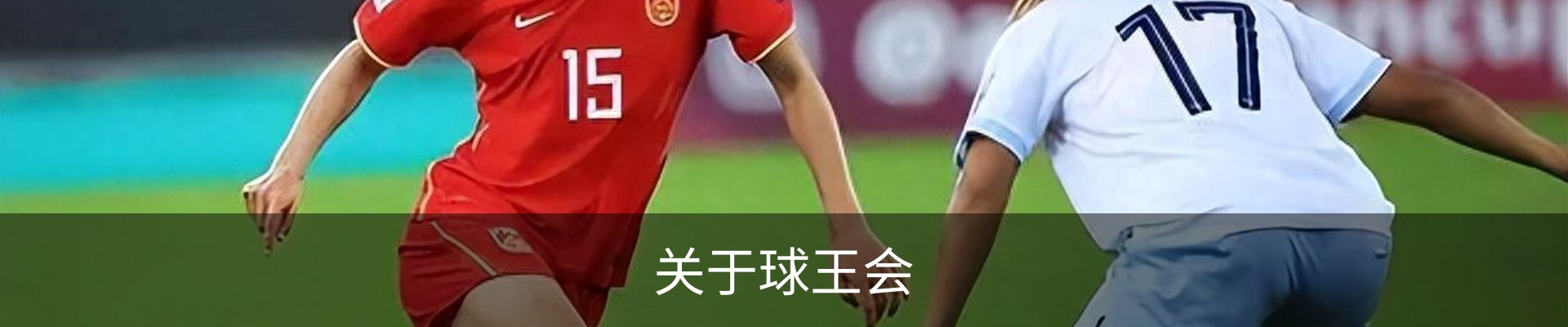 关于球王会